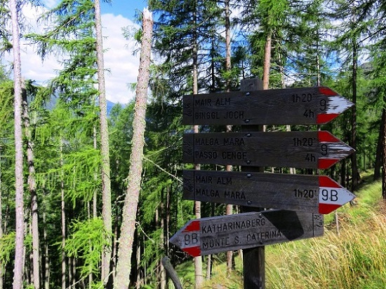 Foto: Andreas Koller / Wandertour / Zum 3000er-Sammeln über Katharinaberg (3163m) / 09.09.2022 01:15:48
