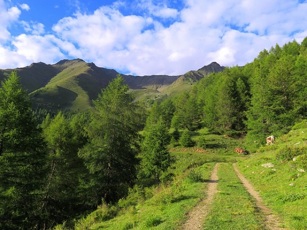 Foto: Andreas Koller / Wandertour / Zum 3000er-Sammeln über Katharinaberg (3163m) / Abstieg von der Oberen Moaralm / 09.09.2022 01:02:55