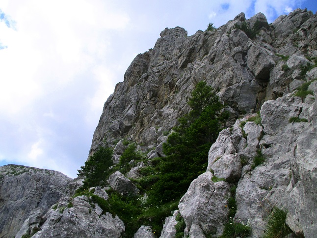 Foto: Andreas Koller / Klettersteigtour / Leichte Klettersteigrunde am Nassfeld (2079m) / 13.09.2022 01:20:20