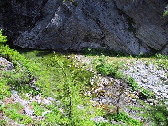 Foto: Andreas Koller / Klettersteigtour / Gorges de Mauvoisin 1: Via ferrata Saxifrage (1763m) / 16.09.2022 01:19:27