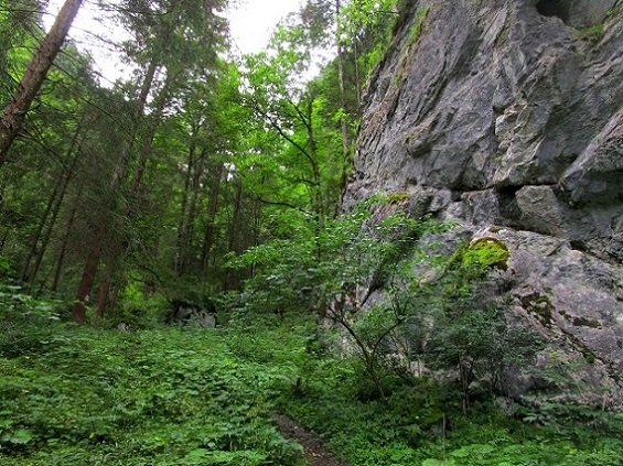 Foto: Andreas Koller / Klettersteigtour / Klettersteig Kellenegg (1355m) / Am Wandfuß / 20.09.2022 23:08:25