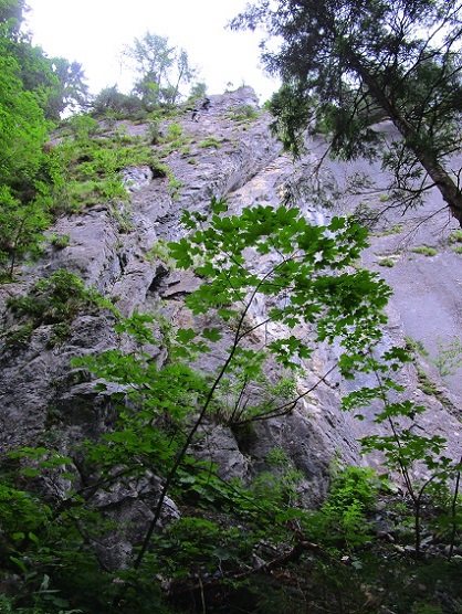 Foto: Andreas Koller / Klettersteigtour / Klettersteig Kellenegg (1355m) / 20.09.2022 23:08:16