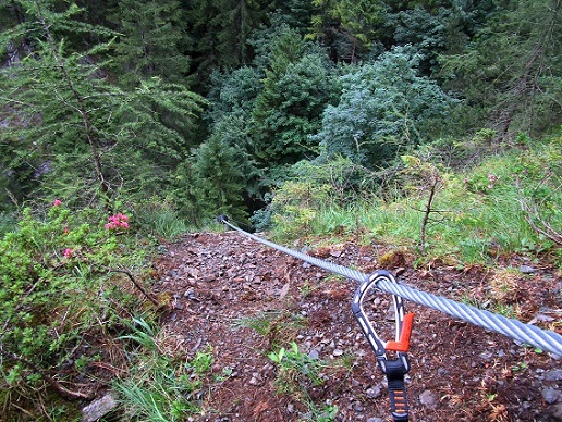 Foto: Andreas Koller / Klettersteigtour / Klettersteig Kellenegg (1355m) / 20.09.2022 23:07:23