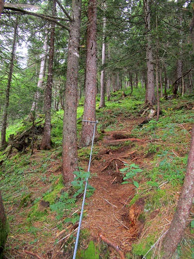 Foto: Andreas Koller / Klettersteigtour / Klettersteig Kellenegg (1355m) / Sanfter Ausstieg / 20.09.2022 23:07:04