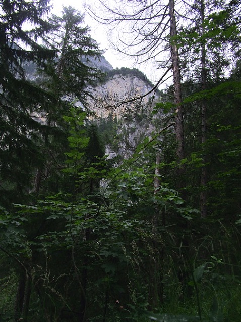 Foto: Andreas Koller / Klettersteigtour / Klettersteig Kellenegg (1355m) / 20.09.2022 23:06:42