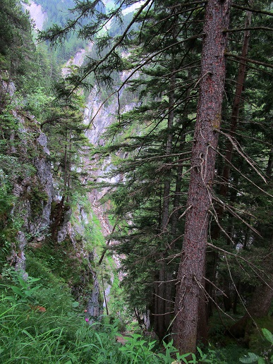 Foto: Andreas Koller / Klettersteigtour / Klettersteig Kellenegg (1355m) / 20.09.2022 23:04:57