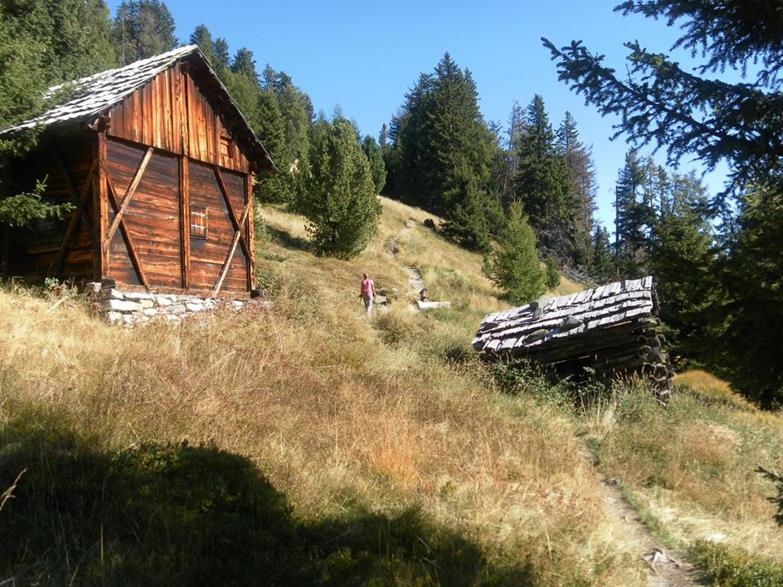 Foto: Wolfgang Lauschensky / Wandertour / Sambock-Runde von Platten / Stadel am Zustieg zum Südrücken / 02.10.2022 16:26:19