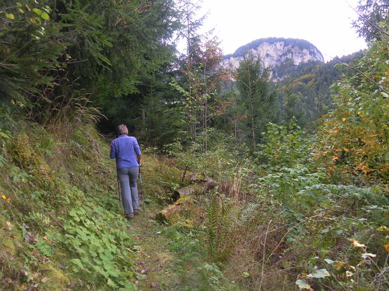 Foto: Wolfgang Lauschensky / Wandertour / Trudnerhorn 1780m und Königswiese 1622m von Gschnon / Monte Prato del Re aus der Nordflanke des
Trudnerhorns / 22.10.2022 17:03:37