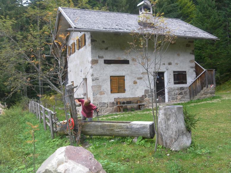 Foto: Wolfgang Lauschensky / Wandertour / Trudnerhorn 1780m und Königswiese 1622m von Gschnon / Hackelboden / 22.10.2022 17:03:21