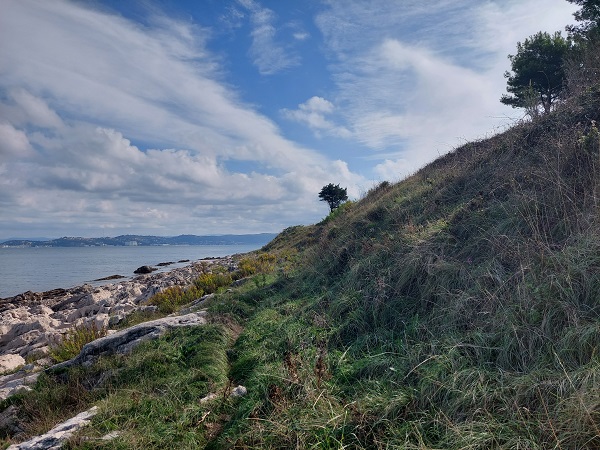Foto: Rupert Gredler / Wandertour / Savudrija-Punta Runde / Der schönste Teil des Steiges. / 26.10.2022 11:48:43