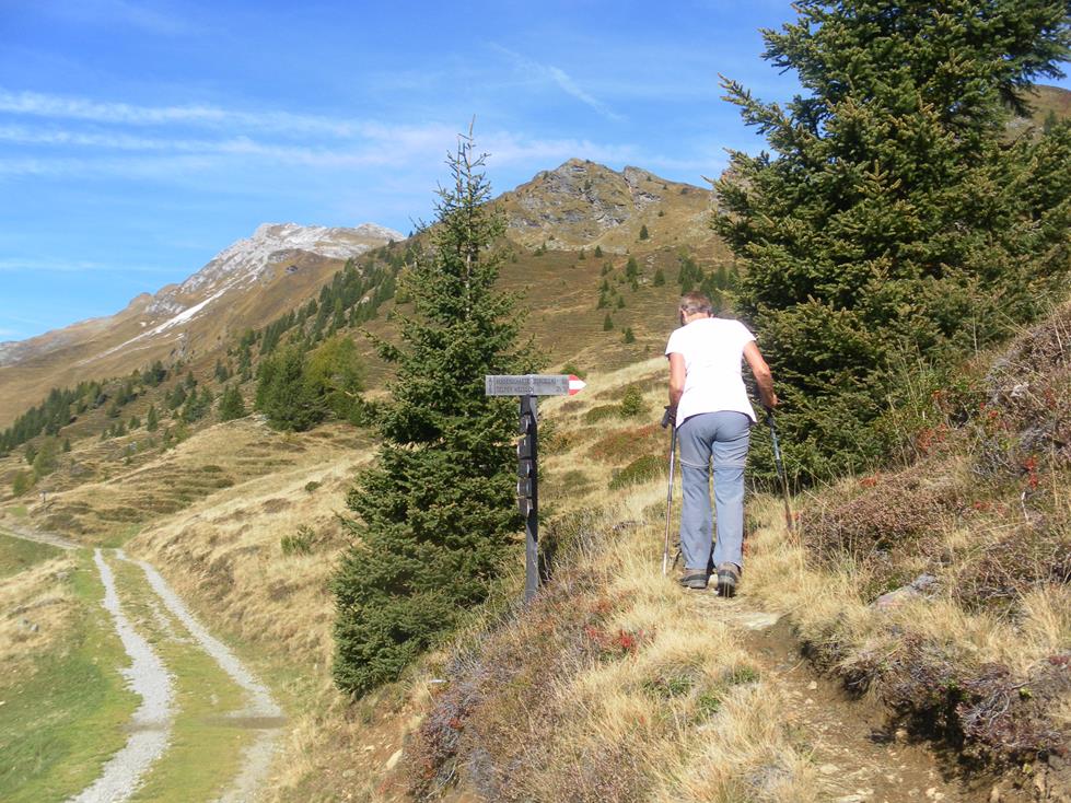 Foto: Wolfgang Lauschensky / Wandertour / Telfer Weißen 2588m und Roßkopf 2189m von Sterzing / Telfer Weißen von der Kuhalm, Abzweig zur
Ochsenscharte / 06.11.2022 18:00:47