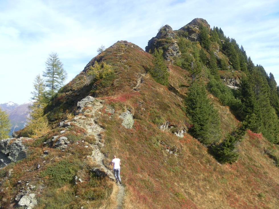 Foto: Wolfgang Lauschensky / Wandertour / Telfer Weißen 2588m und Roßkopf 2189m von Sterzing / Westkamm / 06.11.2022 17:59:20