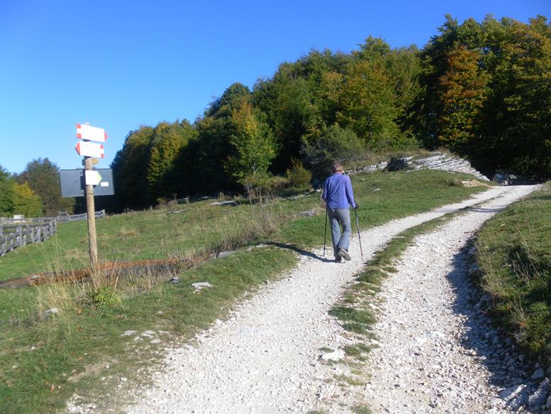 Foto: Wolfgang Lauschensky / Wandertour / M. Castelberto und Cima Borghetto (Busoni) / Almwege / 11.11.2022 00:15:17