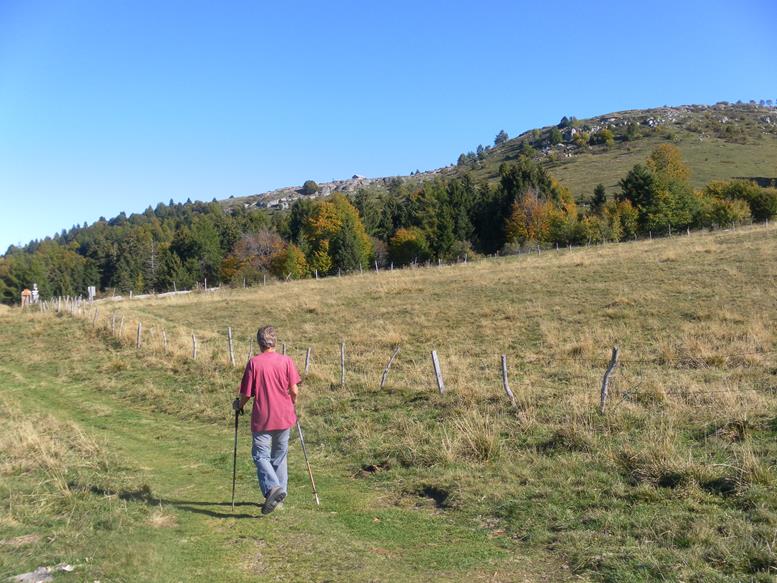 Foto: Wolfgang Lauschensky / Wandertour / M. Castelberto und Cima Borghetto (Busoni) / Almgelände / 11.11.2022 00:14:55