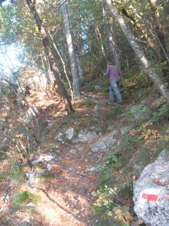 Foto: Wolfgang Lauschensky / Wandertour / Monte Calisio 1096m / Waldpfad / 16.11.2022 01:20:07