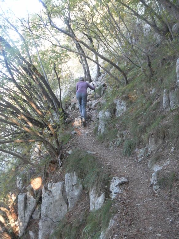 Foto: Wolfgang Lauschensky / Wandertour / Monte Calisio 1096m / schattiger Weg 401 / 16.11.2022 01:20:03
