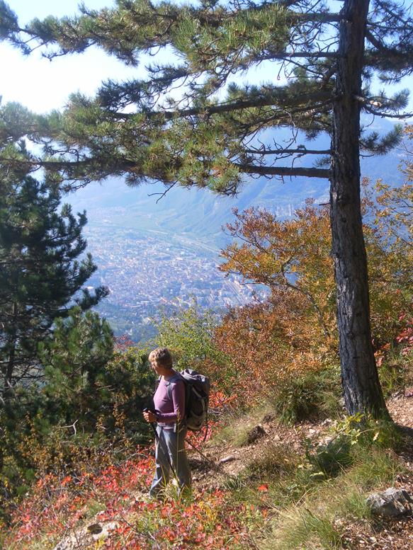 Foto: Wolfgang Lauschensky / Wandertour / Monte Calisio 1096m / Abstieg am Sentiero natura / 16.11.2022 01:19:17