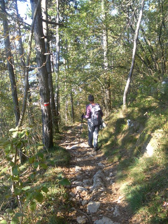 Foto: Wolfgang Lauschensky / Wandertour / Monte Calisio 1096m / Querung zum Ausgangspunkt / 16.11.2022 01:19:02