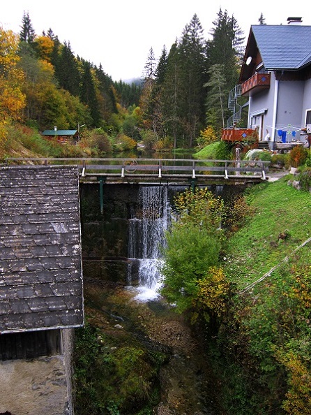 Foto: Andreas Koller / Wandertour / Am Mariazeller Gründerweg auf den Großen Zellerhut (1639m) / Start ist im Salzatal / 24.11.2022 23:52:57