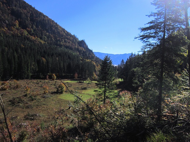Foto: Andreas Koller / Wandertour / Am Mariazeller Gründerweg auf den Großen Zellerhut (1639m) / 24.11.2022 23:52:15