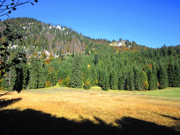 Foto: Andreas Koller / Wandertour / Am Mariazeller Gründerweg auf den Großen Zellerhut (1639m) / 24.11.2022 23:51:00