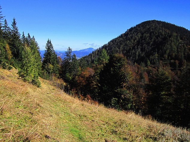 Foto: Andreas Koller / Wandertour / Am Mariazeller Gründerweg auf den Großen Zellerhut (1639m) / 24.11.2022 23:50:04