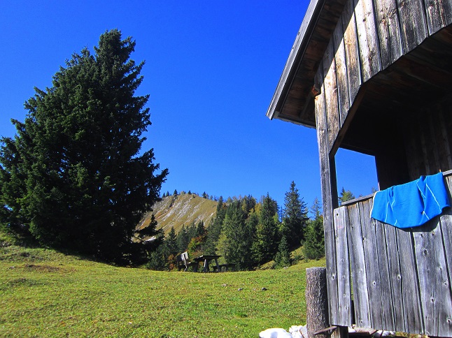 Foto: Andreas Koller / Wandertour / Am Mariazeller Gründerweg auf den Großen Zellerhut (1639m) / 24.11.2022 23:49:58
