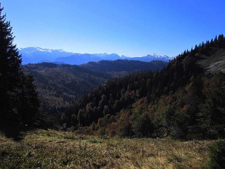 Foto: Andreas Koller / Wandertour / Am Mariazeller Gründerweg auf den Großen Zellerhut (1639m) / 24.11.2022 23:49:42