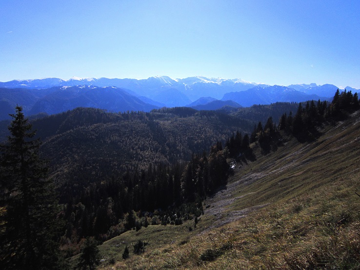 Foto: Andreas Koller / Wandertour / Am Mariazeller Gründerweg auf den Großen Zellerhut (1639m) / 24.11.2022 23:49:18