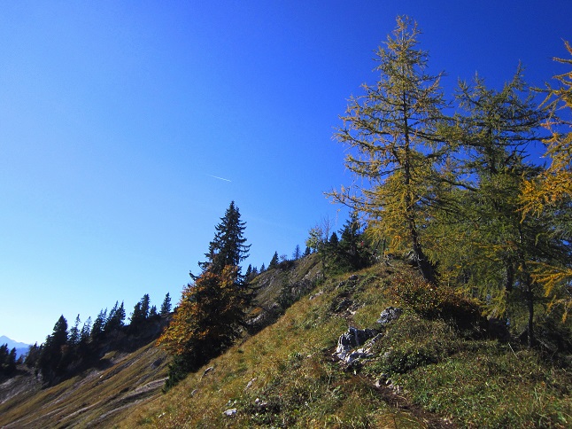 Foto: Andreas Koller / Wandertour / Am Mariazeller Gründerweg auf den Großen Zellerhut (1639m) / 24.11.2022 23:49:08