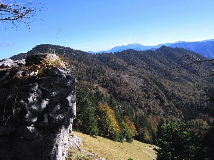 Foto: Andreas Koller / Wandertour / Am Mariazeller Gründerweg auf den Großen Zellerhut (1639m) / 24.11.2022 23:48:52