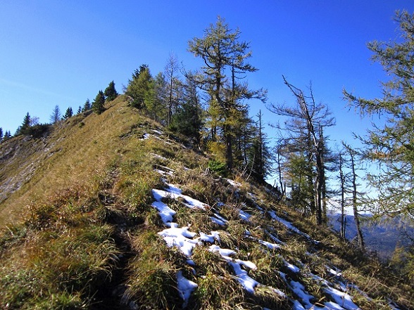 Foto: Andreas Koller / Wandertour / Am Mariazeller Gründerweg auf den Großen Zellerhut (1639m) / 24.11.2022 23:48:44