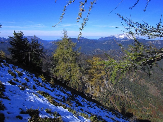 Foto: Andreas Koller / Wandertour / Am Mariazeller Gründerweg auf den Großen Zellerhut (1639m) / 24.11.2022 23:48:13