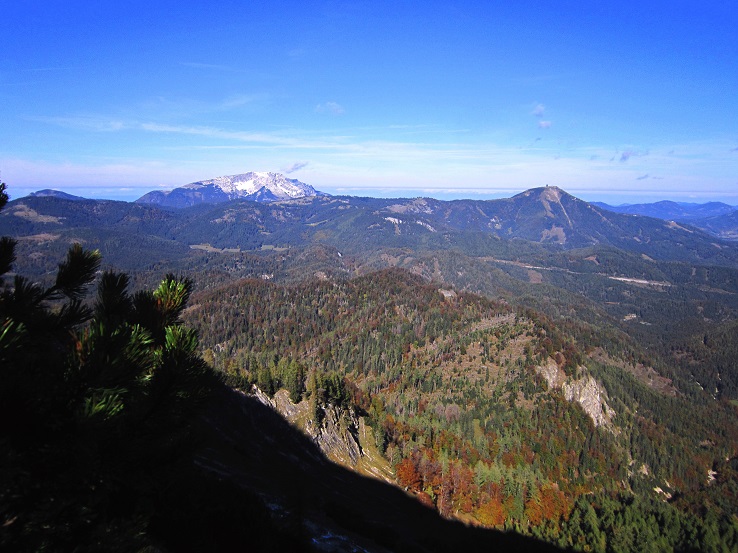 Foto: Andreas Koller / Wandertour / Am Mariazeller Gründerweg auf den Großen Zellerhut (1639m) / 24.11.2022 23:47:45