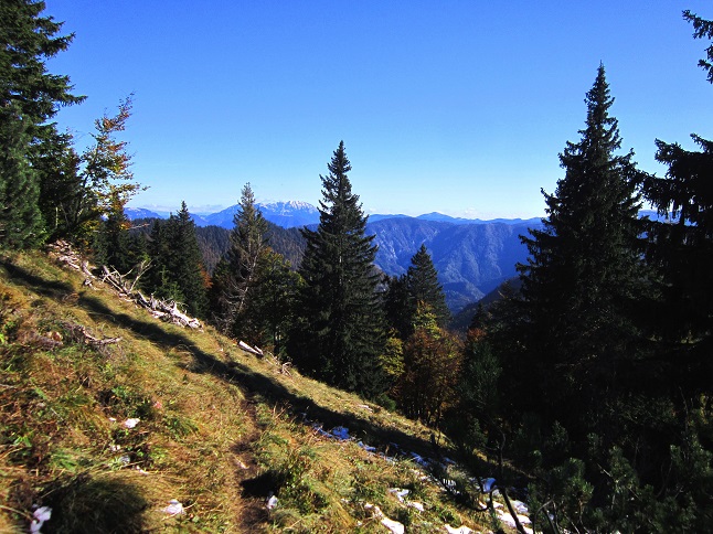 Foto: Andreas Koller / Wandertour / Am Mariazeller Gründerweg auf den Großen Zellerhut (1639m) / Abstieg vom Großen Zellerhut / 24.11.2022 23:45:03