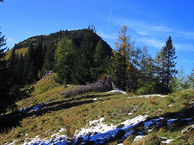Foto: Andreas Koller / Wandertour / Am Mariazeller Gründerweg auf den Großen Zellerhut (1639m) / 24.11.2022 23:44:46