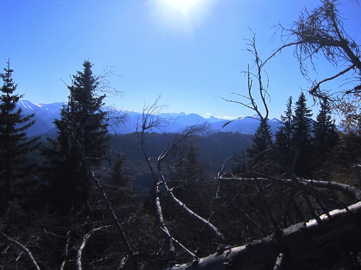 Foto: Andreas Koller / Wandertour / Am Mariazeller Gründerweg auf den Großen Zellerhut (1639m) / 24.11.2022 23:44:40