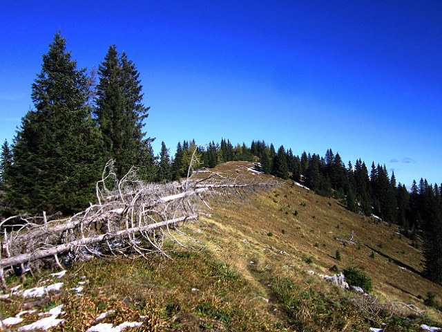 Foto: Andreas Koller / Wandertour / Am Mariazeller Gründerweg auf den Großen Zellerhut (1639m) / 24.11.2022 23:44:32