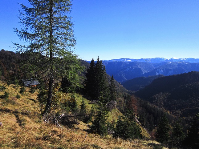Foto: Andreas Koller / Wandertour / Am Mariazeller Gründerweg auf den Großen Zellerhut (1639m) / 24.11.2022 23:43:38