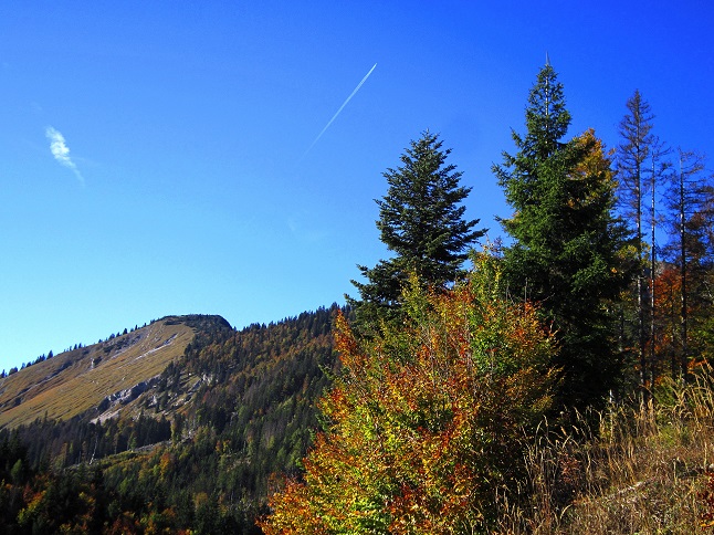 Foto: Andreas Koller / Wandertour / Am Mariazeller Gründerweg auf den Großen Zellerhut (1639m) / 24.11.2022 23:43:14