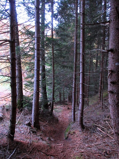 Foto: Andreas Koller / Klettersteigtour / Klettersteig Ölberg im Pfitschertal (1425m) / Letzter Abstieg zum Parkplatz Ölbergtunnel / 29.11.2022 21:50:09