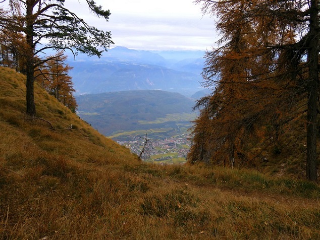 Foto: Andreas Koller / Wandertour / Vom Mendelpass auf den Penegal (1737m) / 16.01.2023 23:37:59