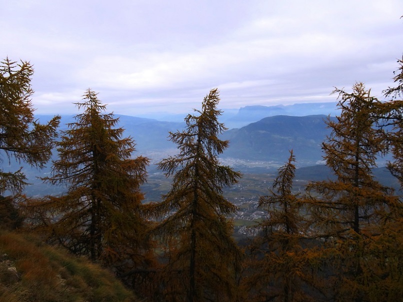Foto: Andreas Koller / Wandertour / Vom Mendelpass auf den Penegal (1737m) / 16.01.2023 23:37:19