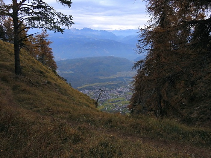 Foto: Andreas Koller / Wandertour / Vom Mendelpass auf den Penegal (1737m) / 16.01.2023 23:35:41