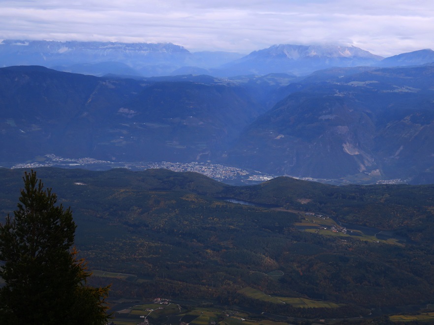 Foto: Andreas Koller / Wandertour / Vom Mendelpass auf den Penegal (1737m) / 16.01.2023 23:34:30