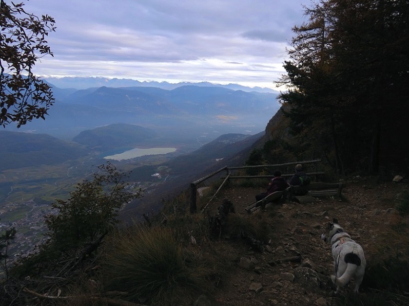 Foto: Andreas Koller / Wandertour / Vom Mendelpass auf den Penegal (1737m) / 16.01.2023 23:33:47
