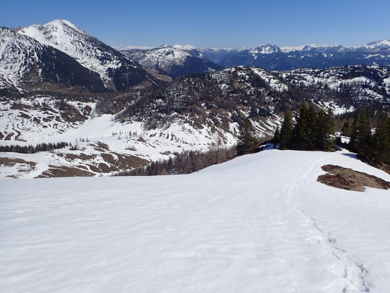 Foto: Manfred Karl / Schneeschuhtour / Schneeschuhtour auf den Taborberg / Kurz unterm Gipfel / 17.01.2023 08:10:47