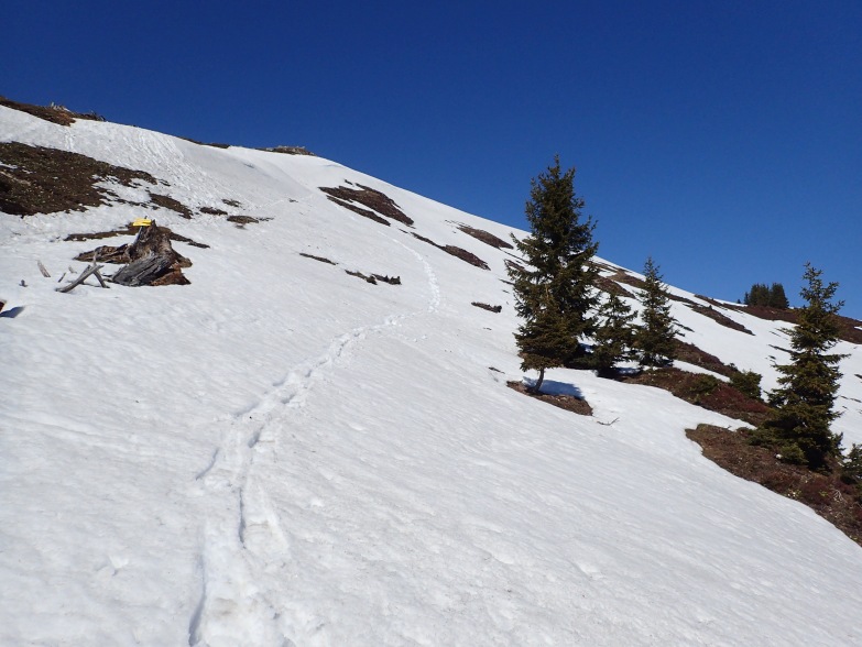 Foto: Manfred Karl / Schneeschuhtour / Schneeschuhtour auf den Taborberg / Gipfelhang / 17.01.2023 08:07:13