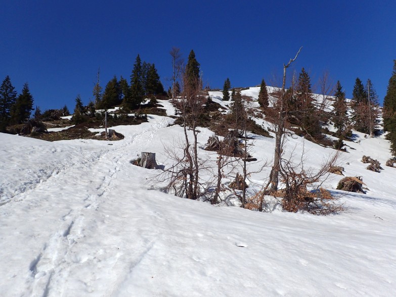 Foto: Manfred Karl / Schneeschuhtour / Schneeschuhtour auf den Taborberg / Abstieg am Normalweg / 17.01.2023 08:06:44