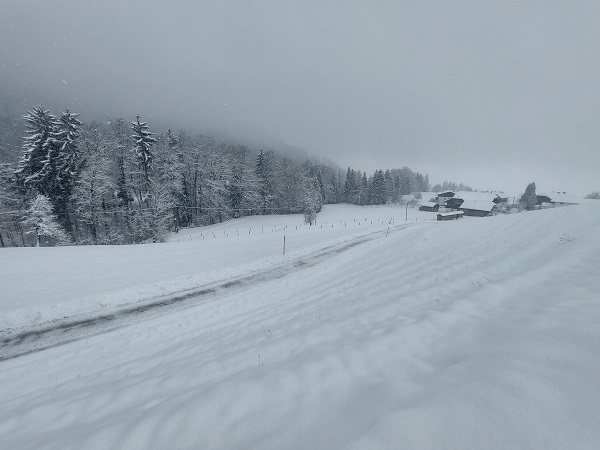 Foto: Rupert Gredler / Skitour / Kühberg / Blick zurück zum großen Gehöft. / 22.01.2023 16:32:29